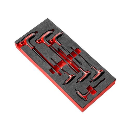 
7DÍLNÁ SADA TORX P-KLÍČŮ V PUR MODULU MODM.89TXA

